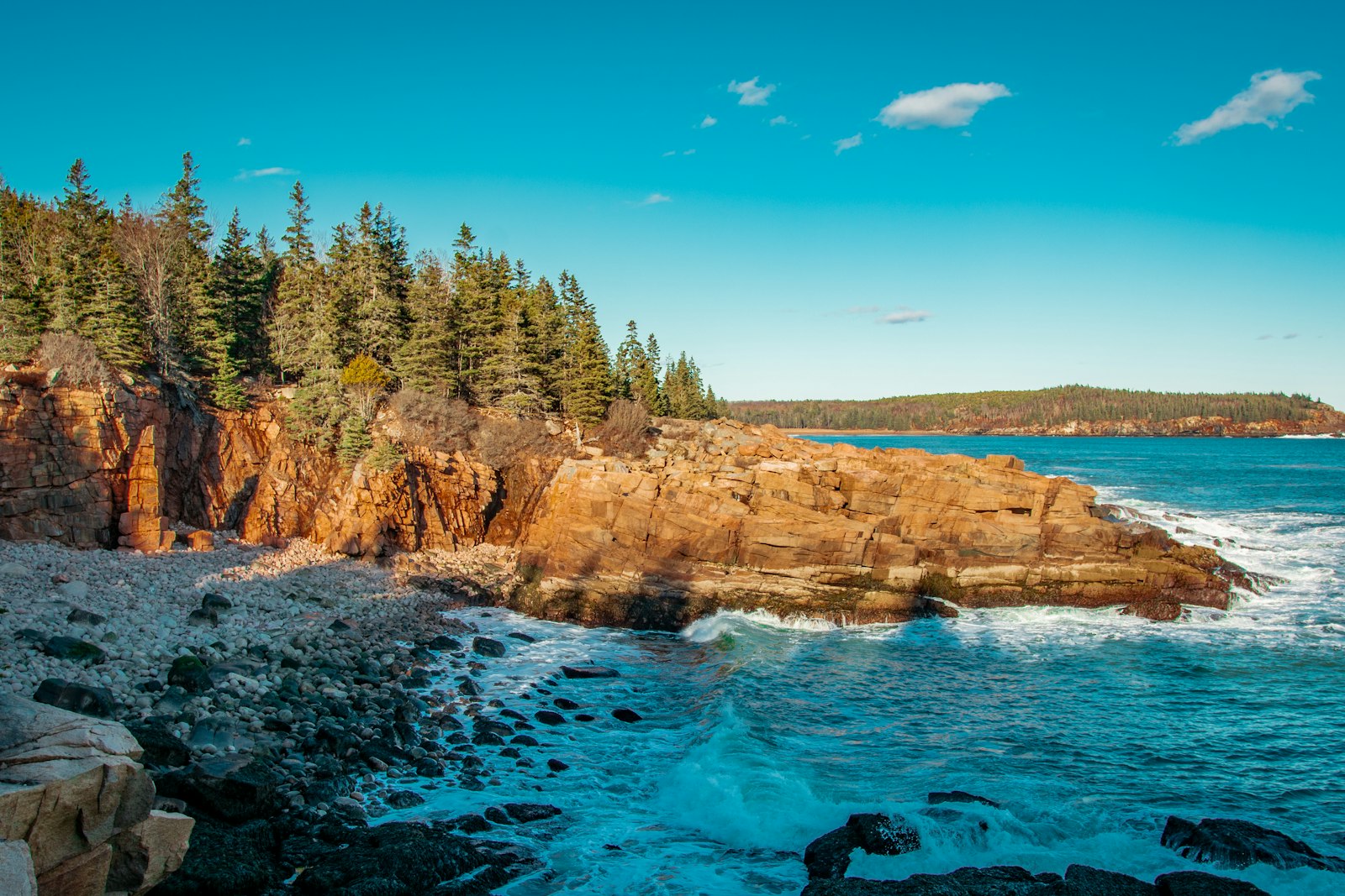 Granite cliffs and pine trees along the Atlantic coastline in Acadia National Park, Maine